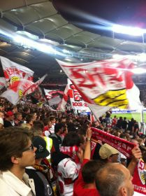 VFB-Hoffenheim 3.jpg